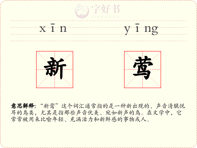 新莺