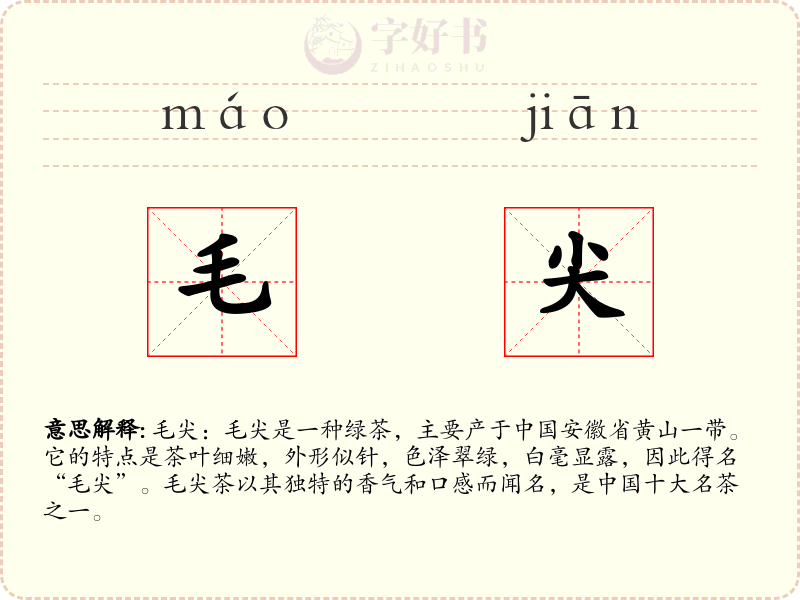 毛尖
