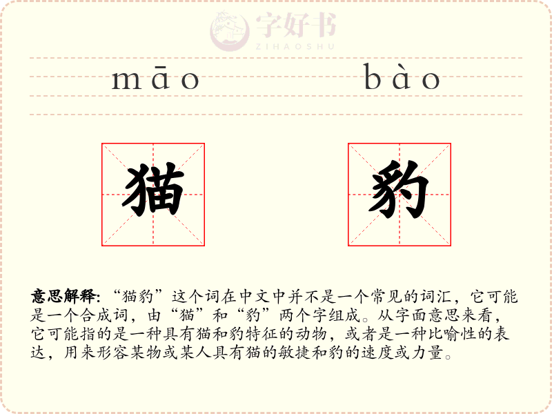 猫豹