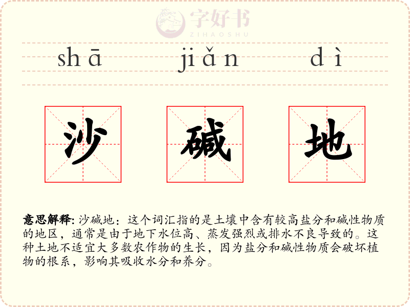 沙碱地