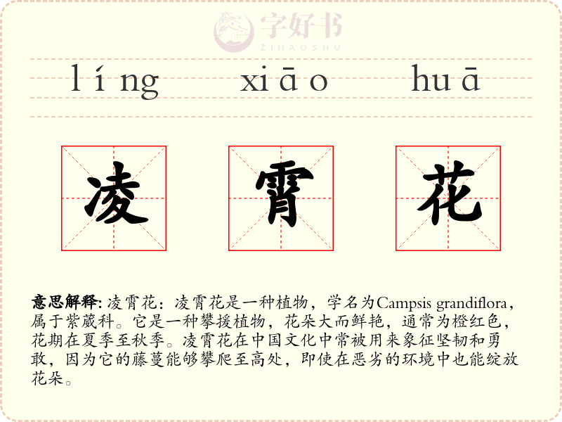 凌霄花