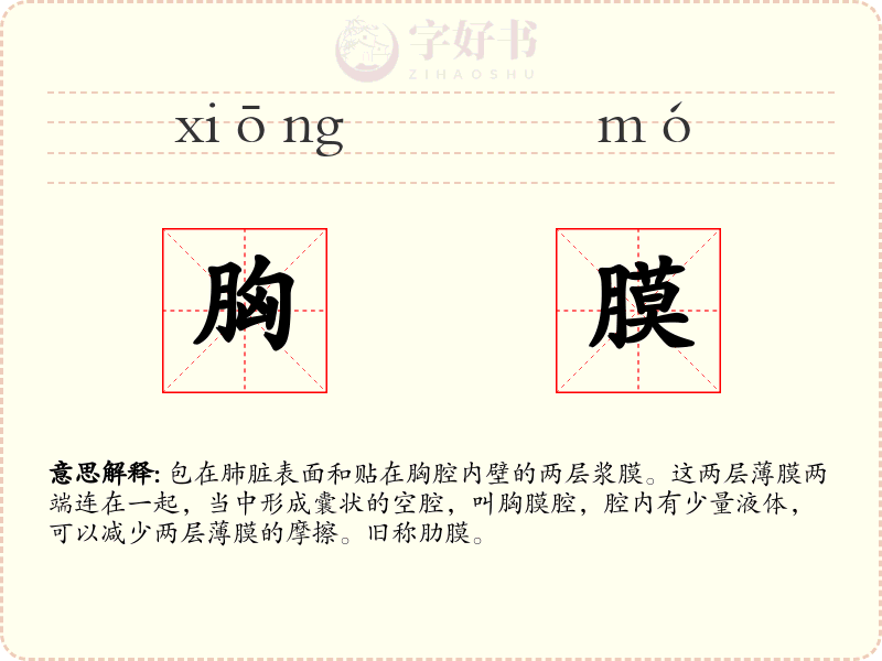 胸膜