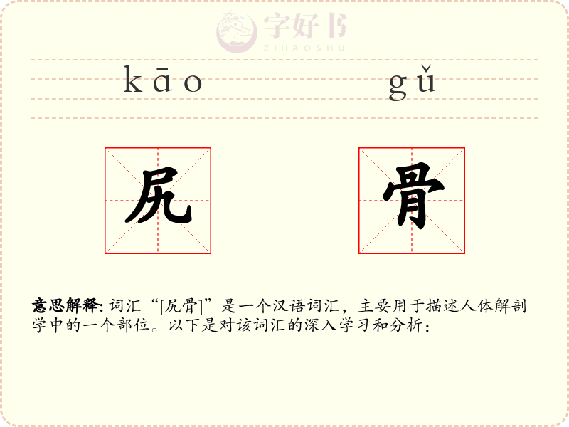 尻骨