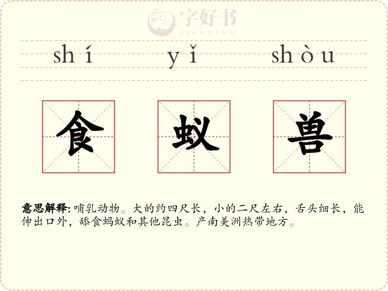食蚁兽