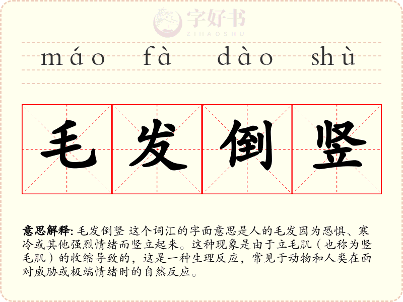 毛发倒竖
