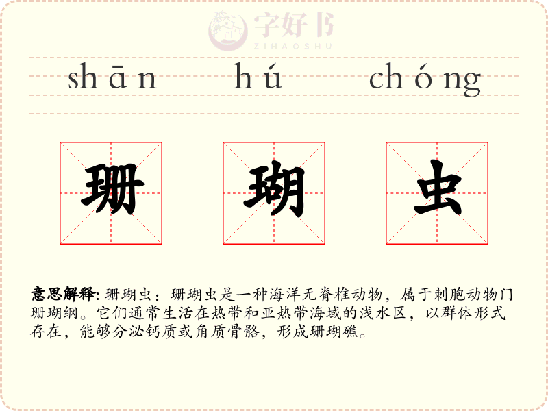珊瑚虫