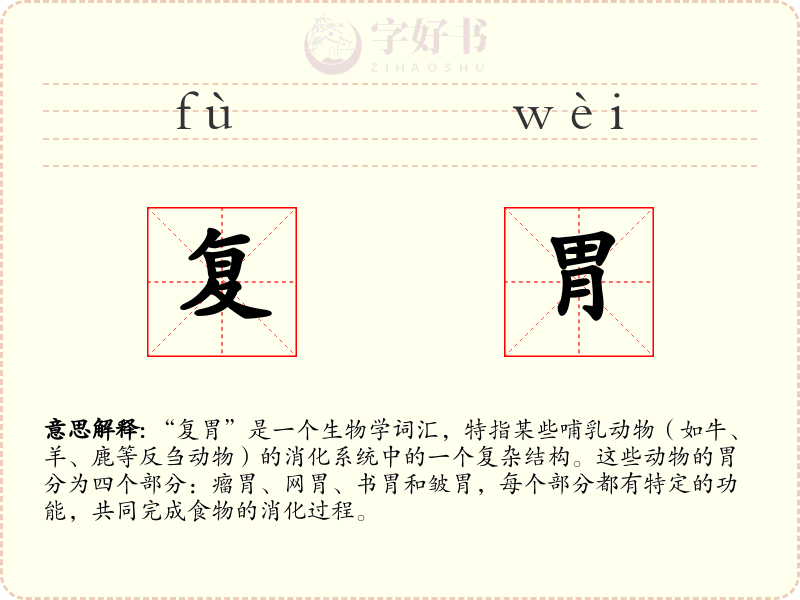 复胃