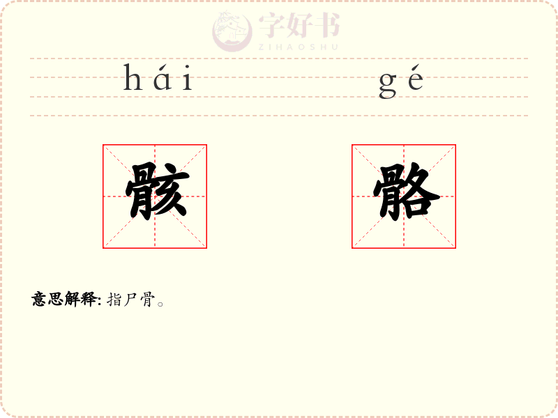 骸骼