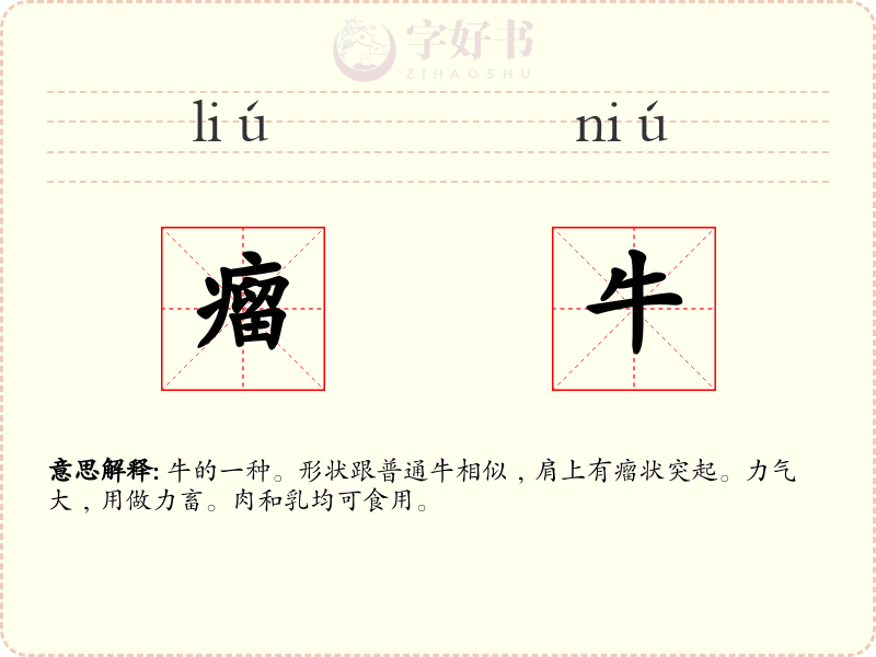 瘤牛