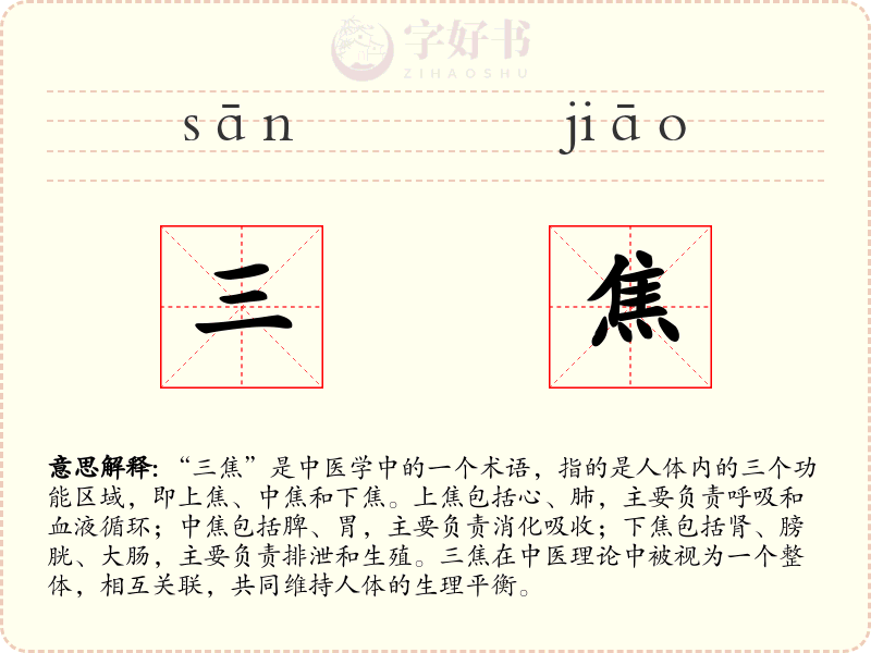 三焦