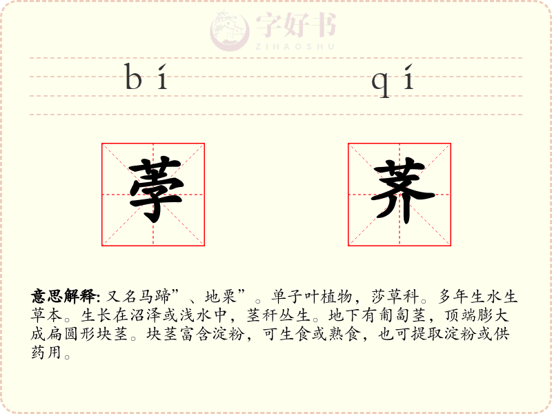 荸荠