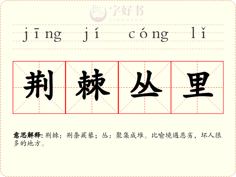 荆棘丛里