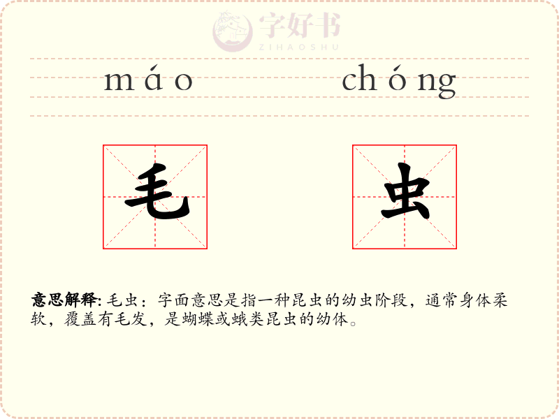 毛虫