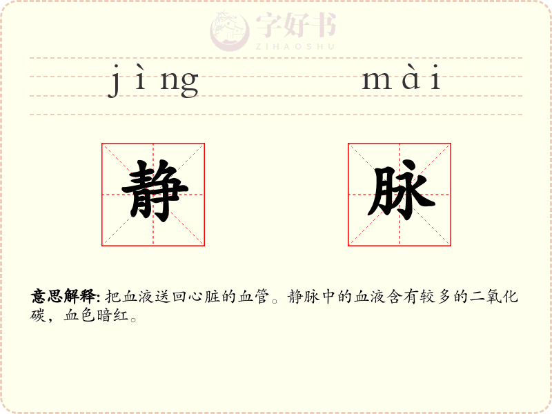 静脉