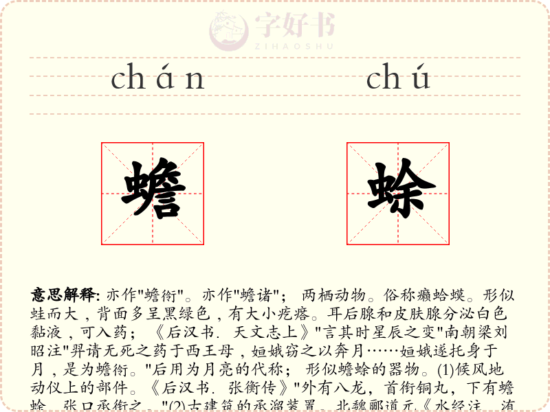 蟾蜍
