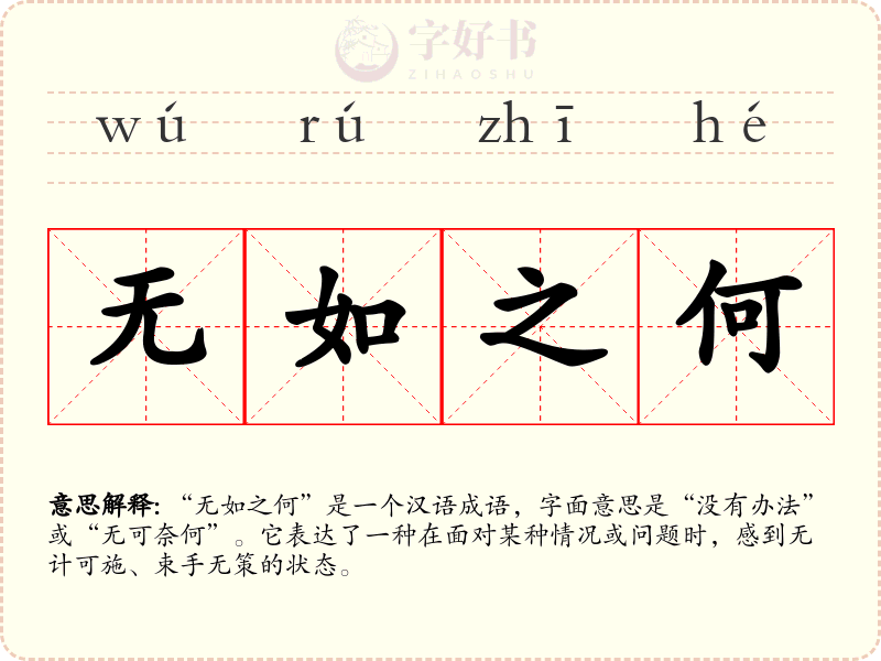 无如之何