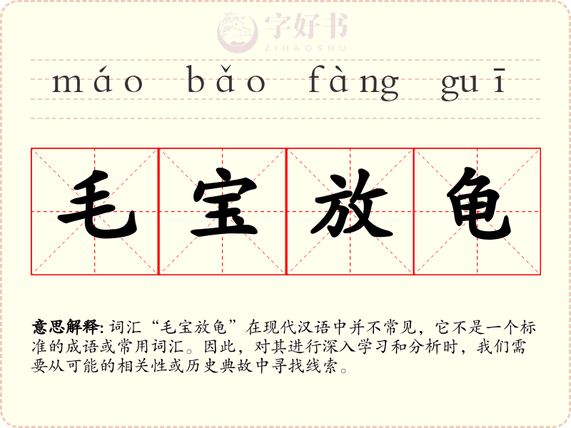 毛宝放龟