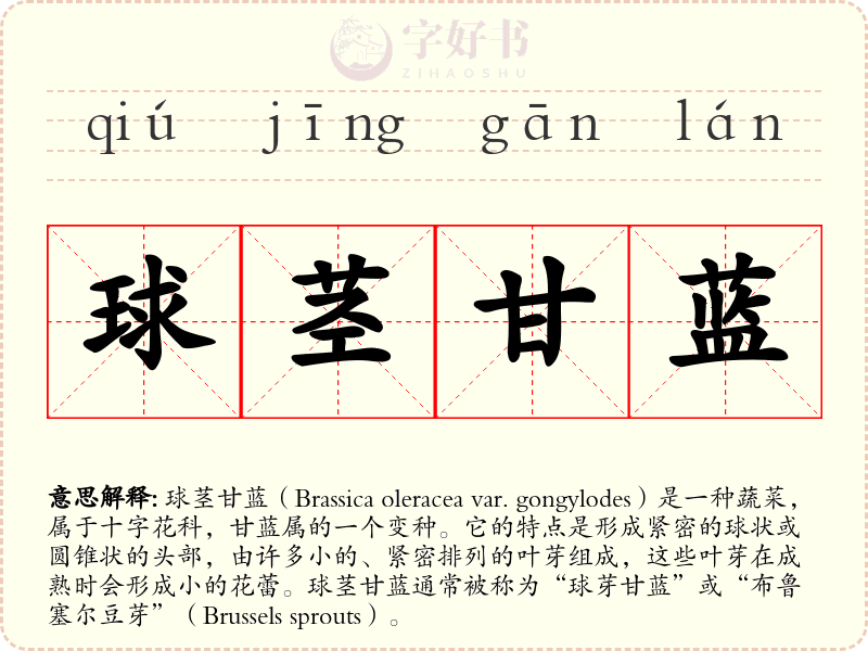 球茎甘蓝
