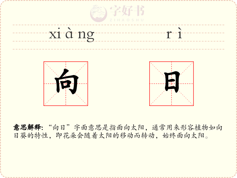 向日