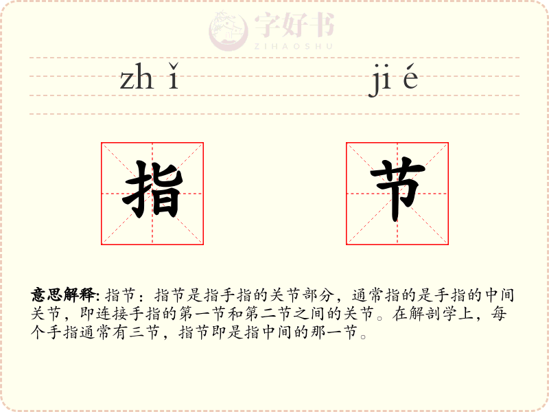 指节