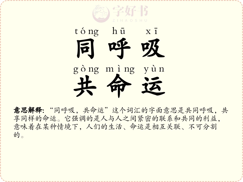 同呼吸，共命运