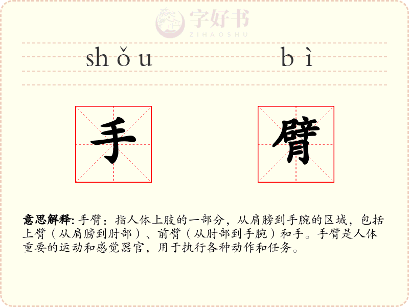 手臂