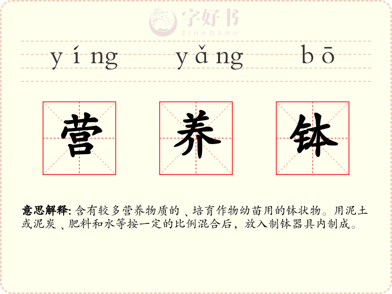 营养钵