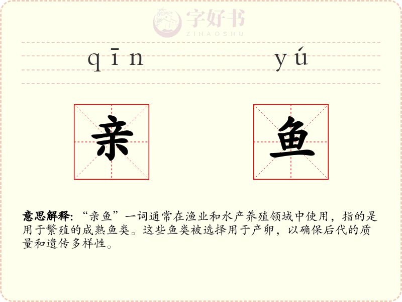 亲鱼