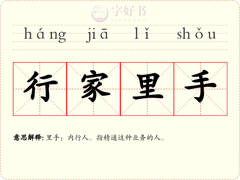 行家里手