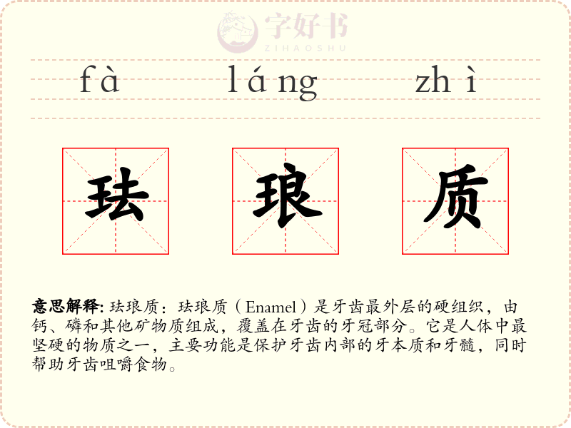 珐琅质