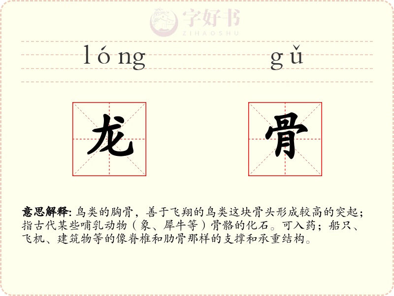 龙骨