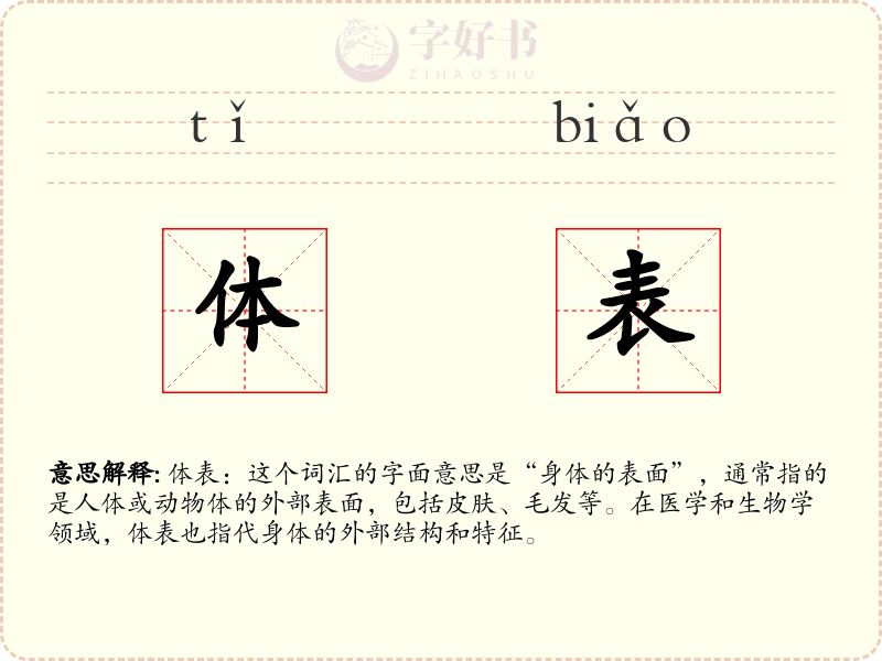 体表