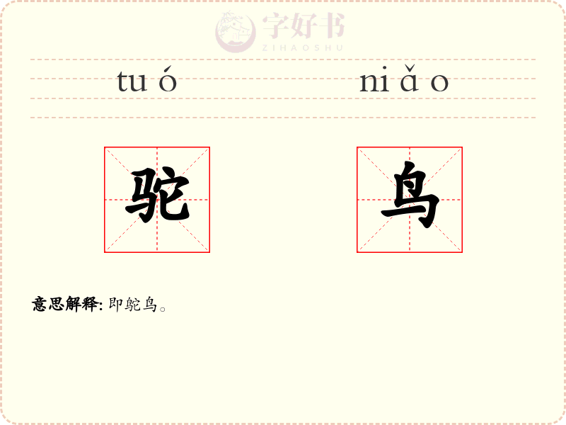 驼鸟