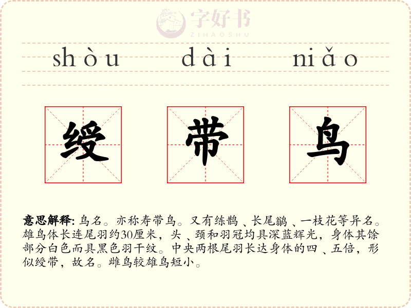 绶带鸟