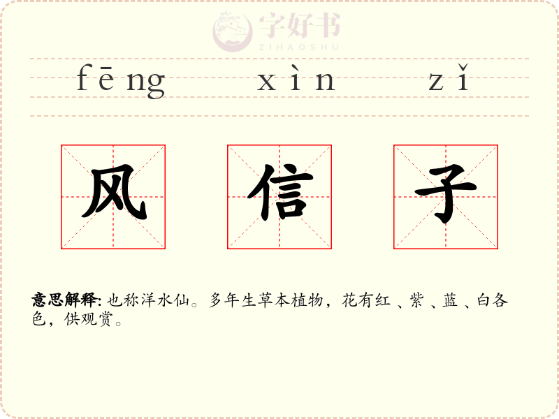 风信子