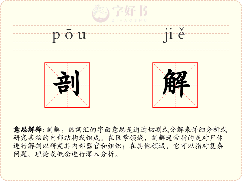 剖解