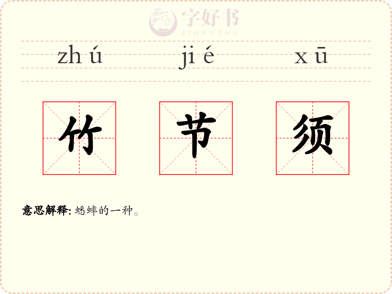 竹节须