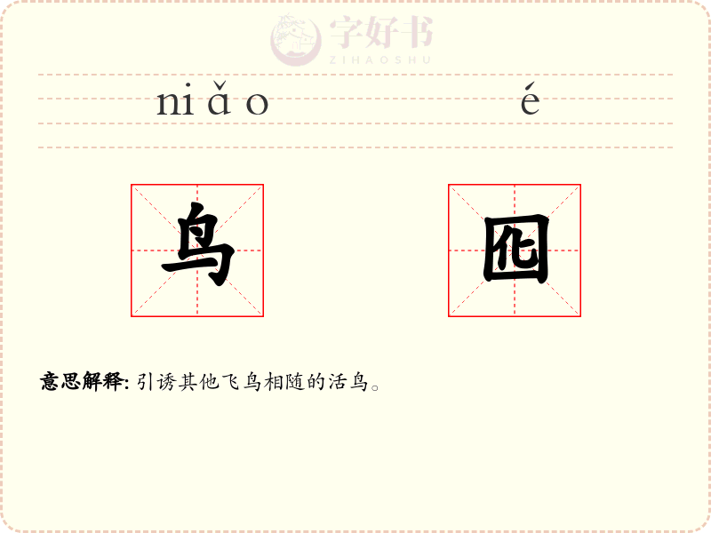 鸟囮