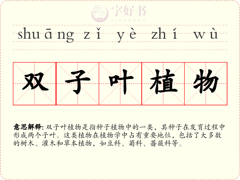 双子叶植物