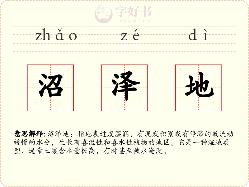 沼泽地