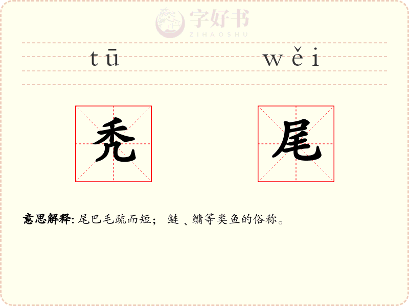 秃尾