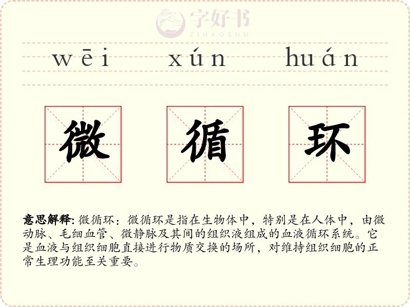 微循环