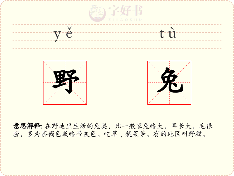 野兔