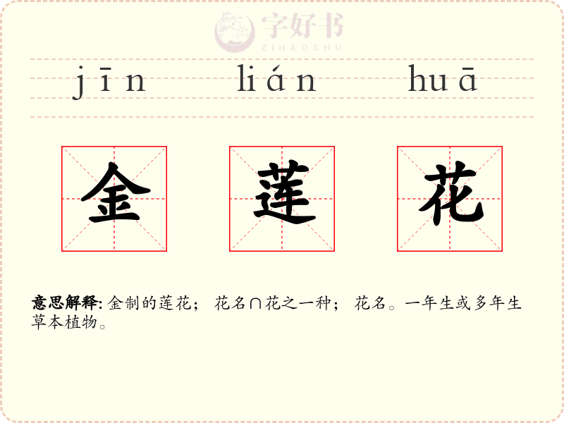金莲花