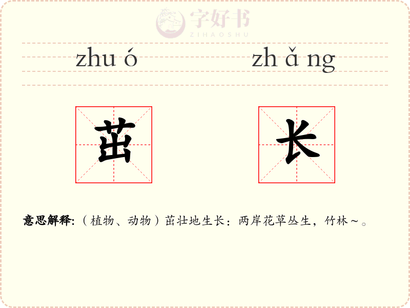 茁长