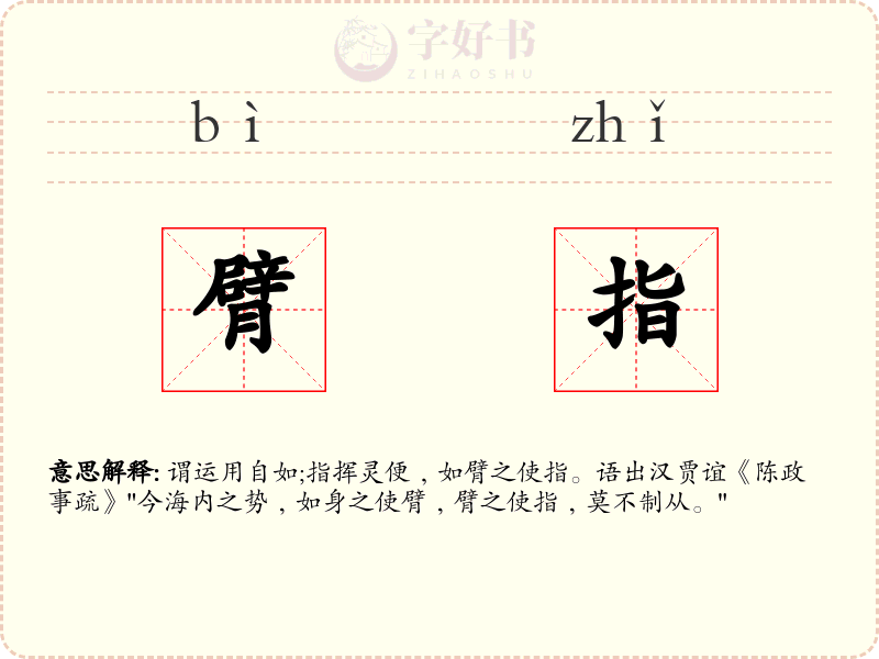 臂指
