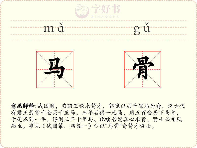 马骨