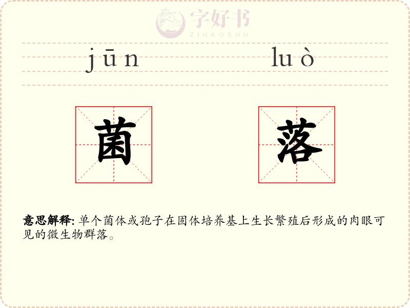 菌落