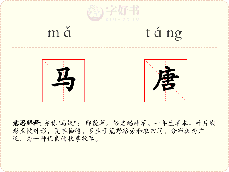 马唐