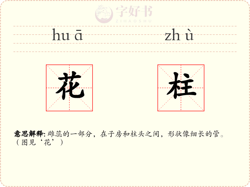 花柱